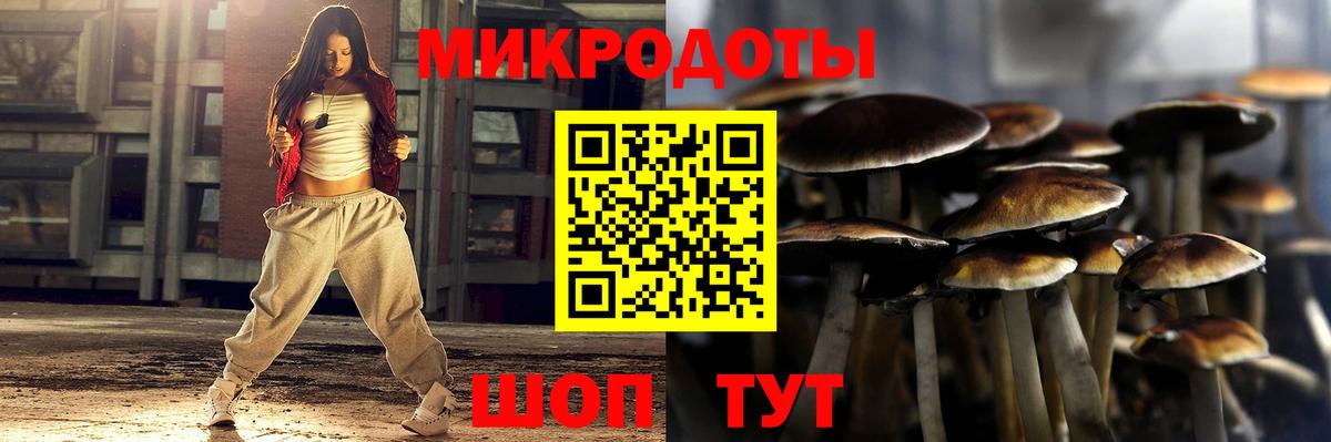 Кузнецк  Галлюциногенные грибы мицелий  Вход с VPN 